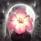 profileIcon