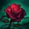 profileIcon